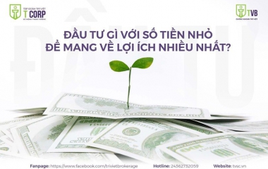 ĐẦU TƯ GÌ VỚI SỐ TIỀN NHỎ ĐỂ MANG VỀ LỢI ÍCH NHIỀU NHẤT?